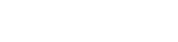 Speedbird